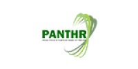 Partner 4